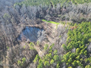 (private lake, pond, coastal) Acreage Sale Pending in Fayette Mississippi