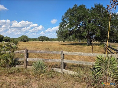 (private lake, pond, creek) Acreage For Sale in Yorktown Texas
