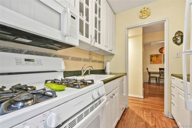 This bright and spacious, move-in-ready 2-bedroom, 1-bathroom - photo 10