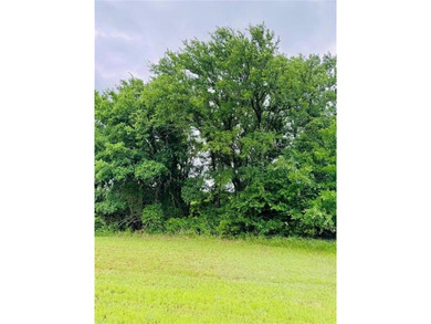 Lake Lot For Sale in Whitney, Texas