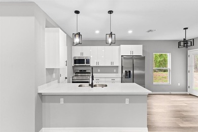 Brand-New Construction in the desirable Spring Lake community! - photo 12