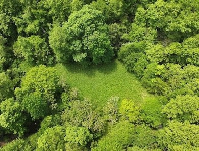 Clinch River Acreage For Sale in Castlewood Virginia