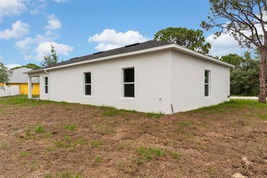 Brand-New Construction in the desirable Spring Lake community! - photo 29
