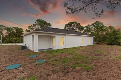 Brand-New Construction in the desirable Spring Lake community! - photo 31