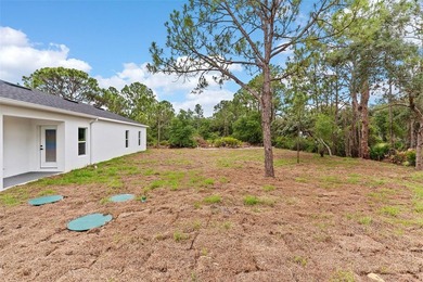 Brand-New Construction in the desirable Spring Lake community! - photo 32