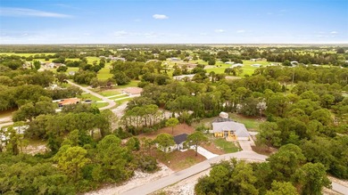Brand-New Construction in the desirable Spring Lake community! - photo 44