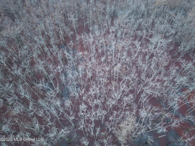 If you've been looking for a true waterfowl setup, this 37+/- - photo 11