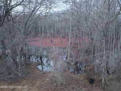 If you've been looking for a true waterfowl setup, this 37+/- - photo 13