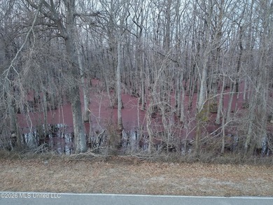 If you've been looking for a true waterfowl setup, this 37+/- - photo 15