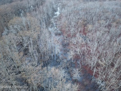 If you've been looking for a true waterfowl setup, this 37+/- - photo 17