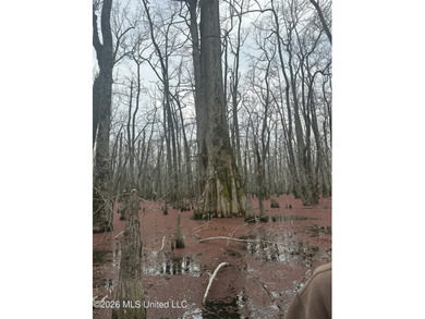 If you've been looking for a true waterfowl setup, this 37+/- - photo 19