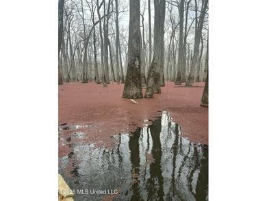 If you've been looking for a true waterfowl setup, this 37+/- - photo 20
