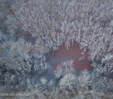 If you've been looking for a true waterfowl setup, this 37+/- - photo 25