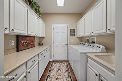 Low-Maintenance Luxury with Lake & Mountain Views in Tellico - photo 26