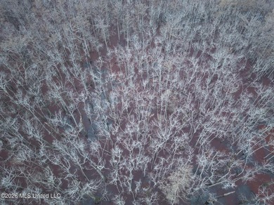 If you've been looking for a true waterfowl setup, this 37+/- - photo 27