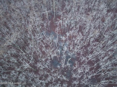 If you've been looking for a true waterfowl setup, this 37+/- - photo 28