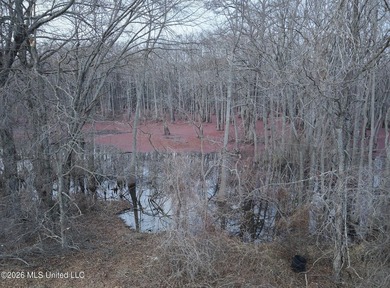 If you've been looking for a true waterfowl setup, this 37+/- - photo 29