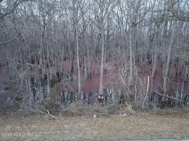 If you've been looking for a true waterfowl setup, this 37+/- - photo 30