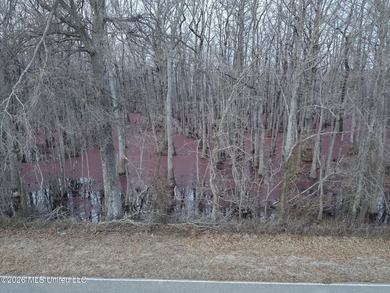 If you've been looking for a true waterfowl setup, this 37+/- - photo 31
