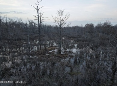 If you've been looking for a true waterfowl setup, this 37+/- - photo 32