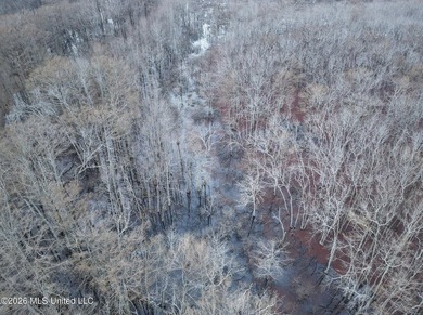 If you've been looking for a true waterfowl setup, this 37+/- - photo 33