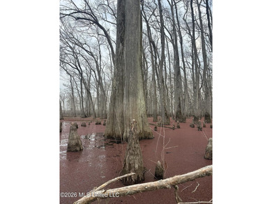 If you've been looking for a true waterfowl setup, this 37+/- - photo 34