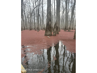 If you've been looking for a true waterfowl setup, this 37+/- - photo 35