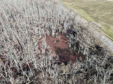 If you've been looking for a true waterfowl setup, this 37+/- - photo 36