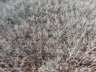 If you've been looking for a true waterfowl setup, this 37+/- - photo 38