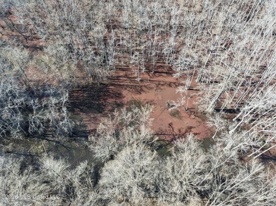 If you've been looking for a true waterfowl setup, this 37+/- - photo 41