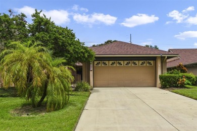 Lake Dora Home For Sale in Mount Dora Florida