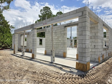 Welcome to your dream home! This stunning brand-new residence - photo 11