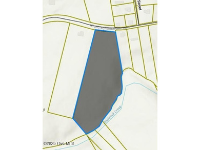 Hinson Lake Acreage For Sale in Rockingham North Carolina