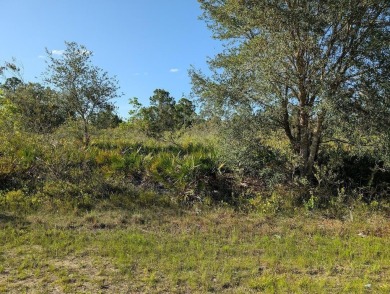 Lake Lot For Sale in Indian Lake Estates, Florida