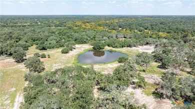 (private lake, pond, coastal) Acreage For Sale in Inez Texas