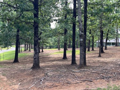Toledo Bend Reservoir Lot For Sale in Many Louisiana