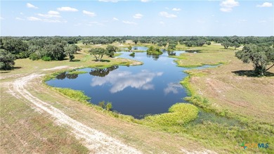 (private lake, pond, coastal) Acreage For Sale in Inez Texas