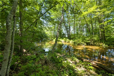 Welcome to 1 Dakin Lane, where modern comfort meets Maine living - photo 13