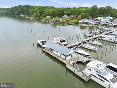 A rare opportunity to acquire one of Northern Virginia's premier - photo 16