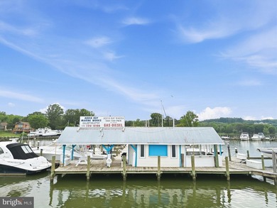 A rare opportunity to acquire one of Northern Virginia's premier - photo 19