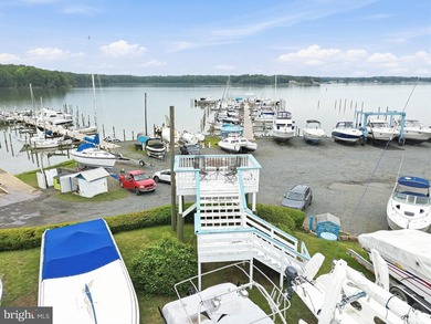 A rare opportunity to acquire one of Northern Virginia's premier - photo 23