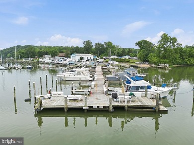 A rare opportunity to acquire one of Northern Virginia's premier - photo 25