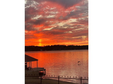 Remodeled and unique home on Lake Palestine in very special - photo 46