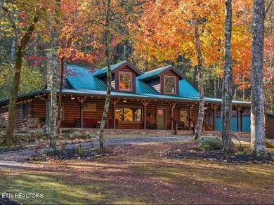 (private lake, pond, creek) Home For Sale in Tellico Plains Tennessee