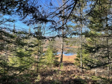 (private lake, pond, creek) Acreage For Sale in Presque  Isle Wisconsin