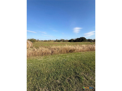 (private lake, pond, creek) Lot For Sale in Blessing Texas