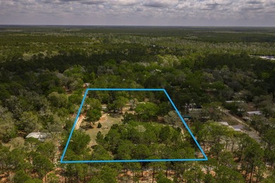 Set on 4.63 cleared acres along a paved county road, this unique - photo 3