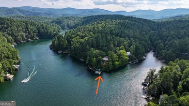 A RARE LAKE RABUN ESTATE Own a remarkable piece of Lake Rabun's - photo 8