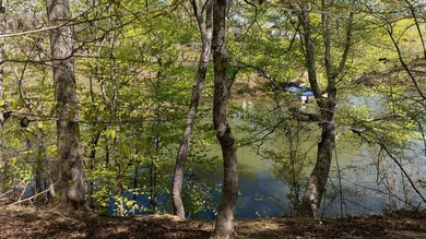 Wow! 4 acres on Lake Secession, located at the end of a quiet - photo 6