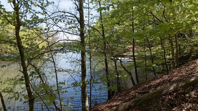 Wow! 4 acres on Lake Secession, located at the end of a quiet - photo 7